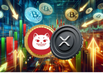 Can XRP Keep Rising? Or Is This $0.0006 Coin the Next Big Opportunity for Investors?